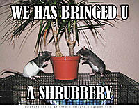 Click image to open a larger version of shrubbery.jpg. Views: 12.