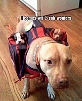 sub woofers.jpg