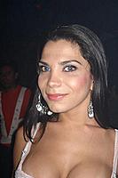 sashn_3_433.jpg