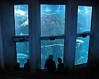 new-england-aquarium.jpg