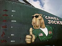 770255_camel_jockey-1.jpg