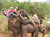elephant-ride.jpg