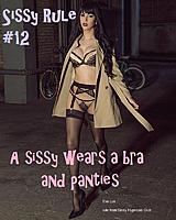 Sissy Rule 012.jpg