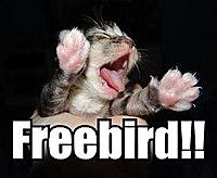 freebird.jpg