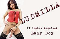 Ludmilla 13 inches best advert.jpg