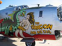 B-24_The_Dragon_And_His_Tail.jpg