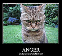 D  Anger.jpg