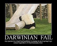 DarwinianFailPanda--MotivationalPos.jpg