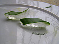 Aloe-vera-slice-cuts.jpg