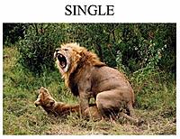single.jpg