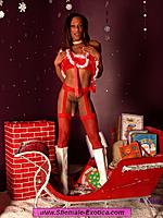 Desire_Xmas06.jpg