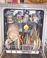 dishwasher.jpg