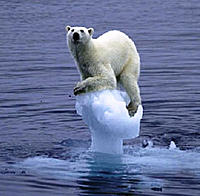 polar-bear-ice.jpg