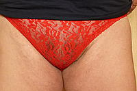 red lace1.jpg