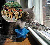kittens-revenge.jpg