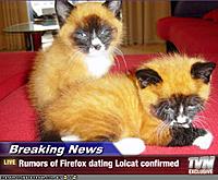 firefox cats.jpg
