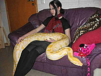 snake--pet.jpg