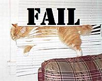 cat_fail_8.jpg