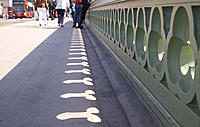 Shadows on a Sidewalk.jpg