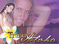 Tranny_Aloha_DVDMenu_Draft.jpg