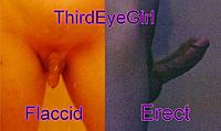 flaccid vs erect (Small).jpg