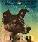 thespacedog's Avatar