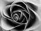 Hillview's Avatar