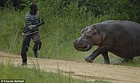 hippo-v-gamekeeper-1.jpg