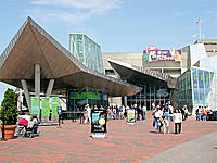 new-england-aquarium-500.jpg