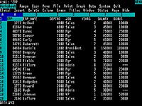 lotus123-msdos.jpg