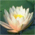 MargaretAnderson's Avatar