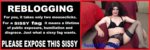 Susie Que XXX Collage Picture 1